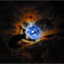 월광(Moon Light) 티스토리