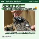 테라리움동물병원 이미지