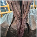 에스샵헤어 이미지