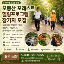 교현오봉마을협동조합 | 수도권 근교 힐링여행 추천, 양주 오봉산 포레스트 힐링프로그램