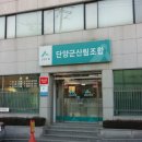 단양농협 대강지점 이미지