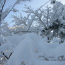 동주초교 이미지