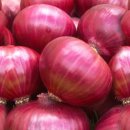 딸기엄마양파아빠 이미지