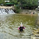 동산계곡야영장 | 팔공산 계곡 대구 근교 군위 솔밭야영장 동산계곡 평상