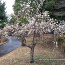 법화사지 이미지