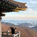 약수산장 | 남해여행 꼭 가봐야 할 보리암 (+금산산장)