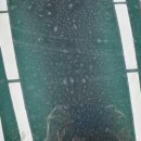 명품광택코팅세차전문점 이미지