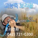 아이뷰성형외과의원 이미지