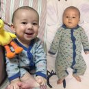 샘 해밍턴 카카오 검색결과