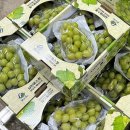 현희 농장 이미지