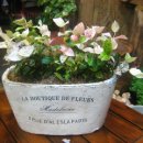 정희네 가게 이미지