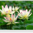 그대 안에그대 이미지