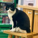 36.오도B | 3월 초 대련(다롄) 여행 후기 2탄 [파빌리온,갤러리아몰] 번외 간단썰들 •••