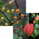 백운산 등산로 이미지