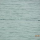 만수낚시터 이미지