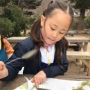 서정초교 | 우리들자연학교 4월 19일 서정초교 수업후기