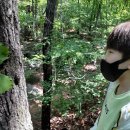 자연(애)장수 이미지