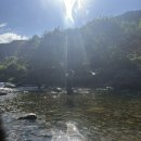 지리산 흑돼지 유통센타 | [지리산 달궁2야영장] 여름휴가 계곡 캠핑 추천! 달궁자동차야영장 명당 예약 꿀팁 및 샤워실 정보