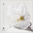 공기남녀 카카오 검색결과