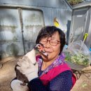 동녁농장 이미지