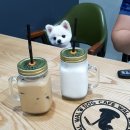 왈왈이애견카페웨스턴돔점 이미지