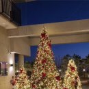 천성대항길 이미지