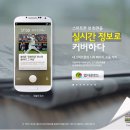도돌