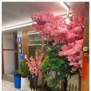 경복궁식당 이미지