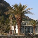 산방산 머물다 이미지