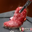 다하누 세계일보