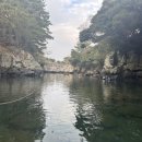 이플제주 이미지