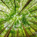 화인목욕탕 이미지