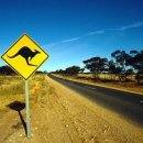 자유롭게 떠나는 여행영어 이미지