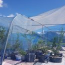 상곤농장 이미지