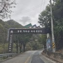 가리산자연휴양림 야영장 이미지