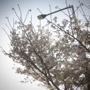 대전만년초등학교 이미지