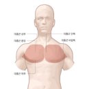 금호스트레칭 네이버블로그