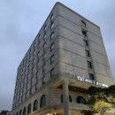 제주로베로아넥스 이미지