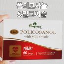 에버그린라이프