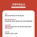 뉴트리코어안산 | 코엔자임큐텐 추천 고혈압과 혈액순환을 위한 효능 정보 비교분석