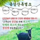금강산건강원 - 서산시 도당가금말길 33-1 | 금강산건강원