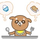 러브독애견카페 이미지