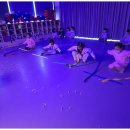 백호태권도장 이미지