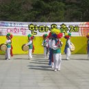 충주시민대화합 한마음축제 가 성대히 열렸습니다.(1) 이미지