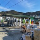 도청농장 이미지