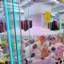 핑키펑키 서면1호점 이미지