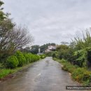 내리몽바닷가 이미지