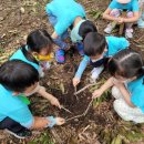 대청유치원 이미지