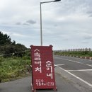 순이네 | 제주 동쪽 구좌읍 돌문어볶음 맛집 소금바치 순이네 리얼 후기
