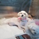 써니메디칼 이미지